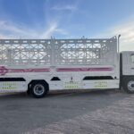 Transportation Services